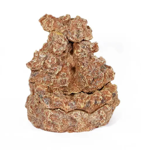 Reptile Rock Spring Water